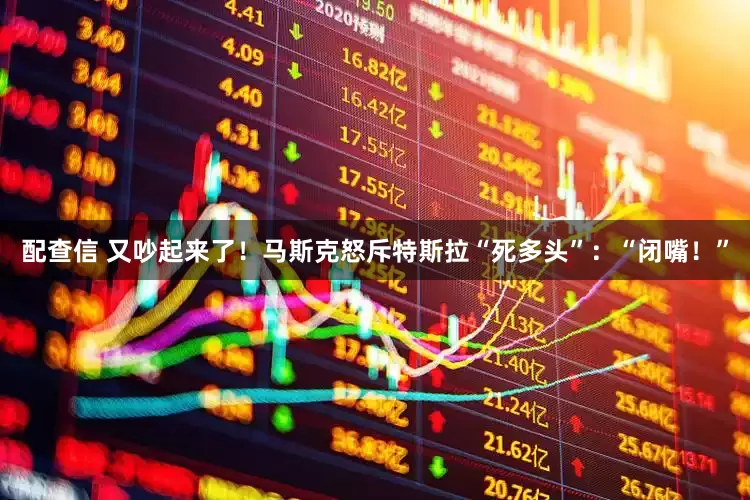 配查信 又吵起来了！马斯克怒斥特斯拉“死多头”：“闭嘴！”