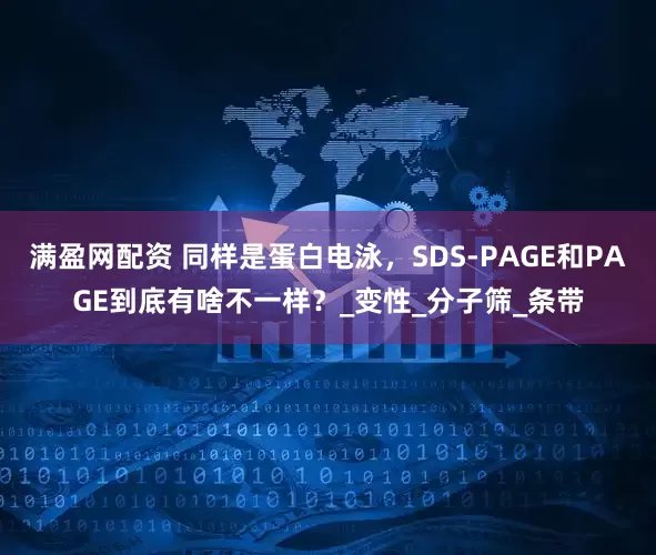 满盈网配资 同样是蛋白电泳，SDS-PAGE和PAGE到底有啥不一样？_变性_分子筛_条带